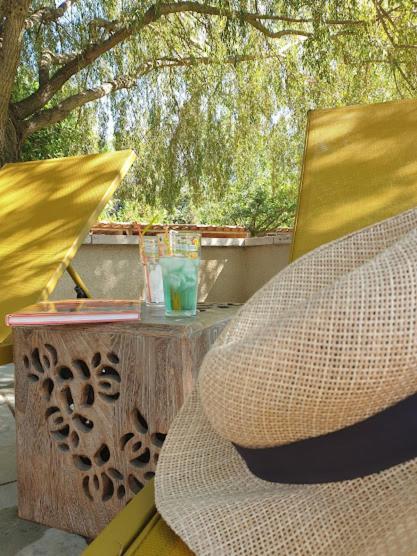 Bed and Breakfast Mas des muses LʼIsle-sur-la-Sorgue Exterior foto
